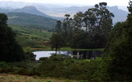 Photo de Nyanga nord/Congo 