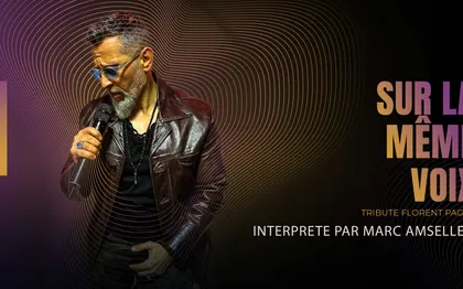 Photo de Florent Pagny chanté par Marc Amsellem