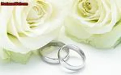 Photo de Organisation de Mariage - NARBONNE