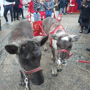 Marché de Noel à Couzeix (Limoges)