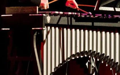 Photo de Florian Bellecourt Vibraphone - Jazz - Quartet - Trio - Duo 