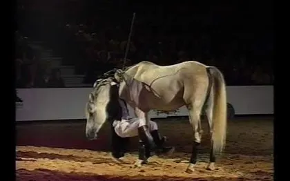Photo de Olivier GARCIA - Spectacle Equestre - Montfavet