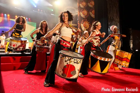 Wim Percussion "les professionnels de la percussion"
