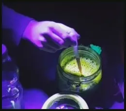 Expérience