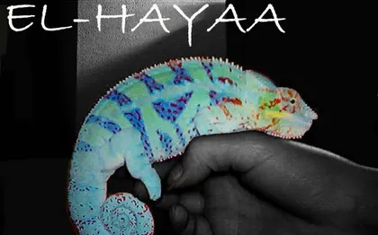 Photo de EL-HAYAA - CONTEUR - DORDOGNE 