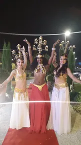 Les danseuses du soleil - danses orientales & danses brésiliennes