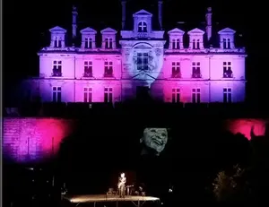 concert grand format avec lumières et projections d"images monumentales