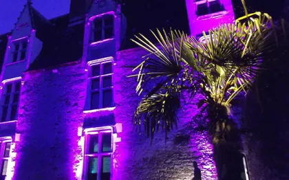 Photo de Festi' Night - Sonorisation - Eclairage - NANTES