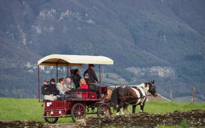 Photo de LES ECURIES D HERCULE / ANNECY - CHAMOUSSET