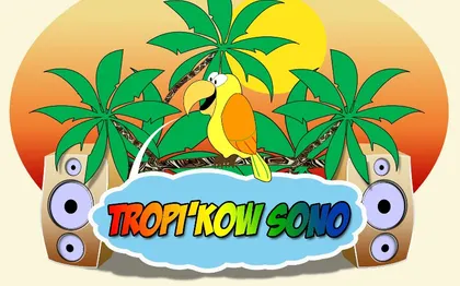 Photo de Tropi'kow SONO - DJ - MONTARGIS - LOIRET 