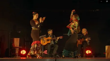LOS CARLOS groupe Flamenco Latino avec danseuses - Lyon - Rhône