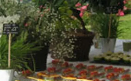 Photo de Events in Heaven, Instants de Paradis