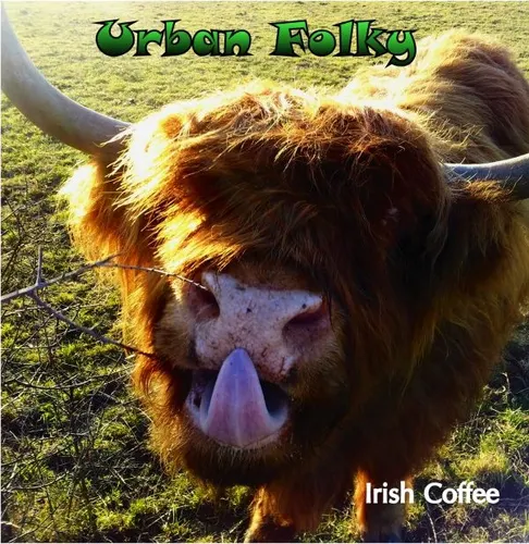 Urban folky - rock celtique