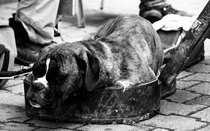 Photo de Dclicphoto - Photographe - CHARTRES - 28000