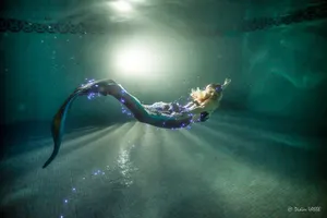 Séance photo terrestre
Crédit photo : Didier Vasse Modern'photo