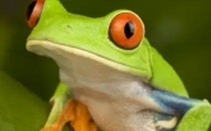 Photo de Terra exotika