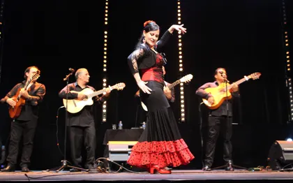 Photo de Gipsy de Montpellier