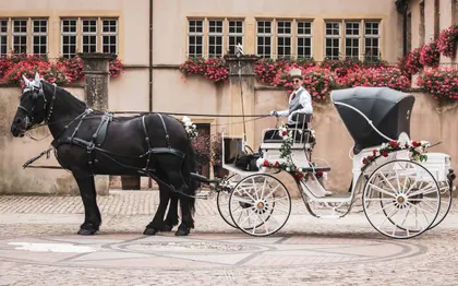 Photo de ATTELAGE DE PRESTIGE / MULHOUSE ALSACE 