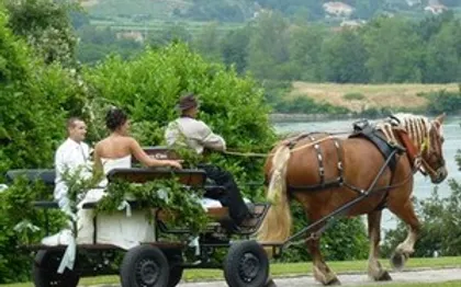 Photo de Attelage d'Ardèche: Terre d'âne / Sarras