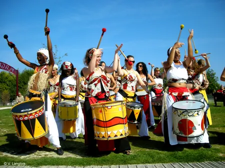 Wim Percussion "les professionnels de la percussion"