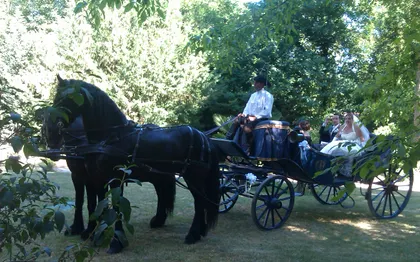 Photo de  Location de calèches Eric de Mailly  Sarl Equi Médoc 