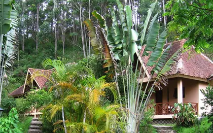 Photo de HOTEL VAKONA FOREST LODGE - Moramanga