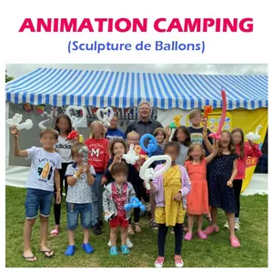 Animation Campings