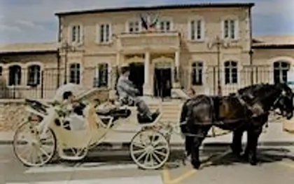 Photo de PROVENCE CALECHE TRADITION, LOCATION DE CALECHE