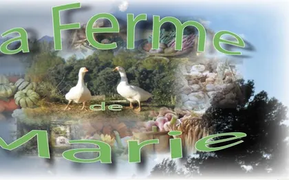 Photo de La ferme de Marie - Location de salle et Chambre d' hôtes à BARJOLS
