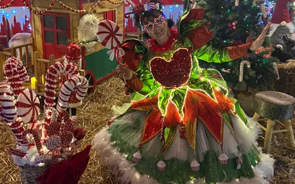 Photo de ANIMATION LA FERME DU PÈRE NOEL / Chartres Eure-et-Loir 