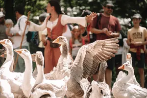 OIES SACRÉES - DOG TRAINER #3