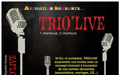 Photo de TRIO'LIVE - SHOW VARIETE - VENDEUVRE DU POITOU
