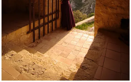Photo de Azalaïs - Troubadour et Conteur Médiéval - Avignon