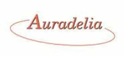 Photo de Auradelia wedding-planner du Nord Pas-de-Calais
