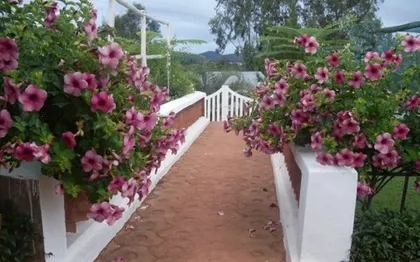 Photo de Jardin Madagascar Paysagiste - Fleuriste - Antananarivo