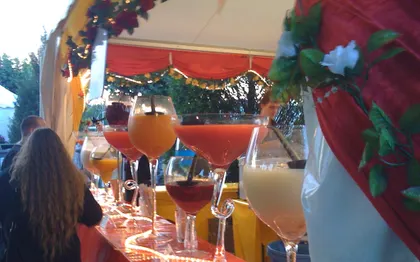 Photo de Organisation-Evenement - Soiree d Entreprise - Mariage - Arbre de Noel - Decor - Geneve