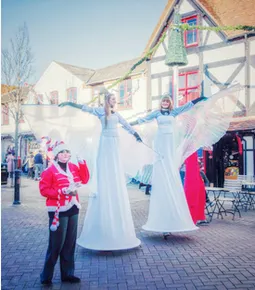 Cirque Extreme, Spectacles , animations et formations,  Occitanie