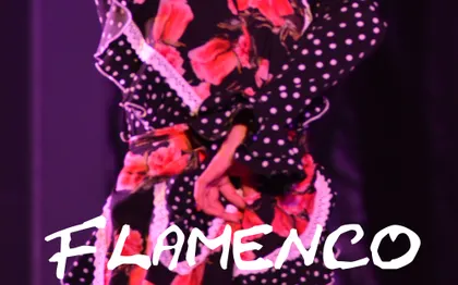 Photo de Compagnie de Flamenco Marina Pomares / Toulouse