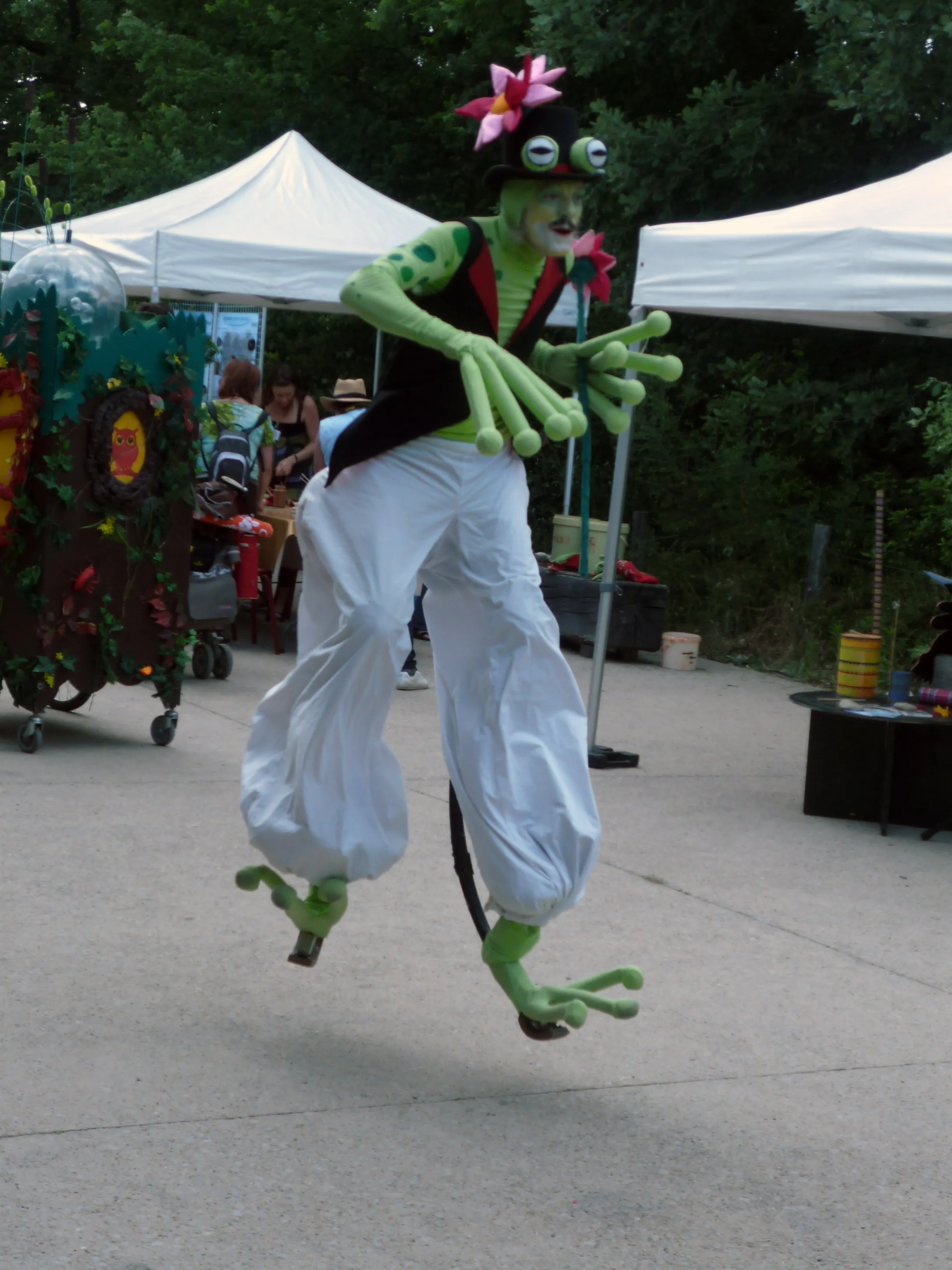 l'alarme echasses à rebond la grenouille "Fête de la nature" Pont du diable