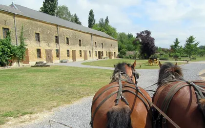 Photo de Location de calèche Ardennes Grand-Est / Les sabots du relais 
